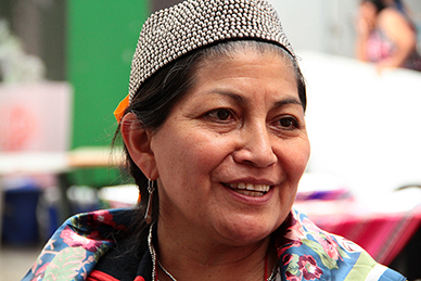 Chile: Presidencia de la Convención, una mujer&nbsp;Mapuche