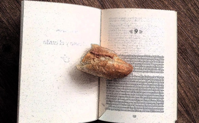 Medio pan y un libro… Federico García&nbsp;Lorca