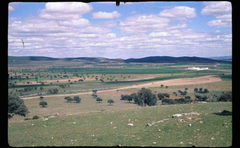 Instituto Nacional de Colonización  ¿Por qué se realiza la&nbsp;compra?