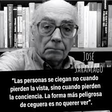 Con ver no alcanza. La política de la mirada en tiempos de ceguera&nbsp;organizada